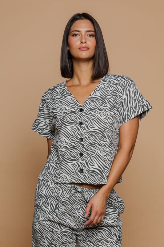 ZEBRA TOP DE MINUETO